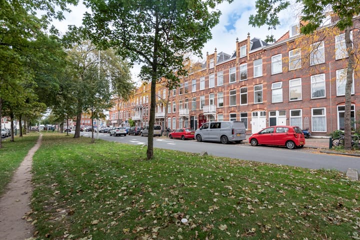 Foto 2 van De la Reyweg 38