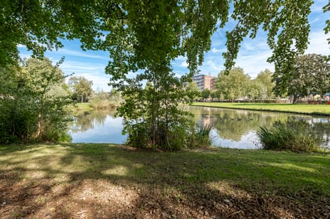 Parklaan 143 secondary image