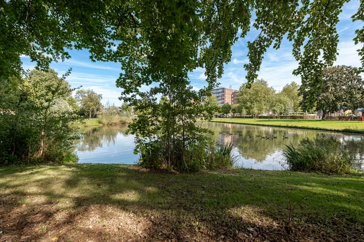 Foto 27 van Parklaan 143