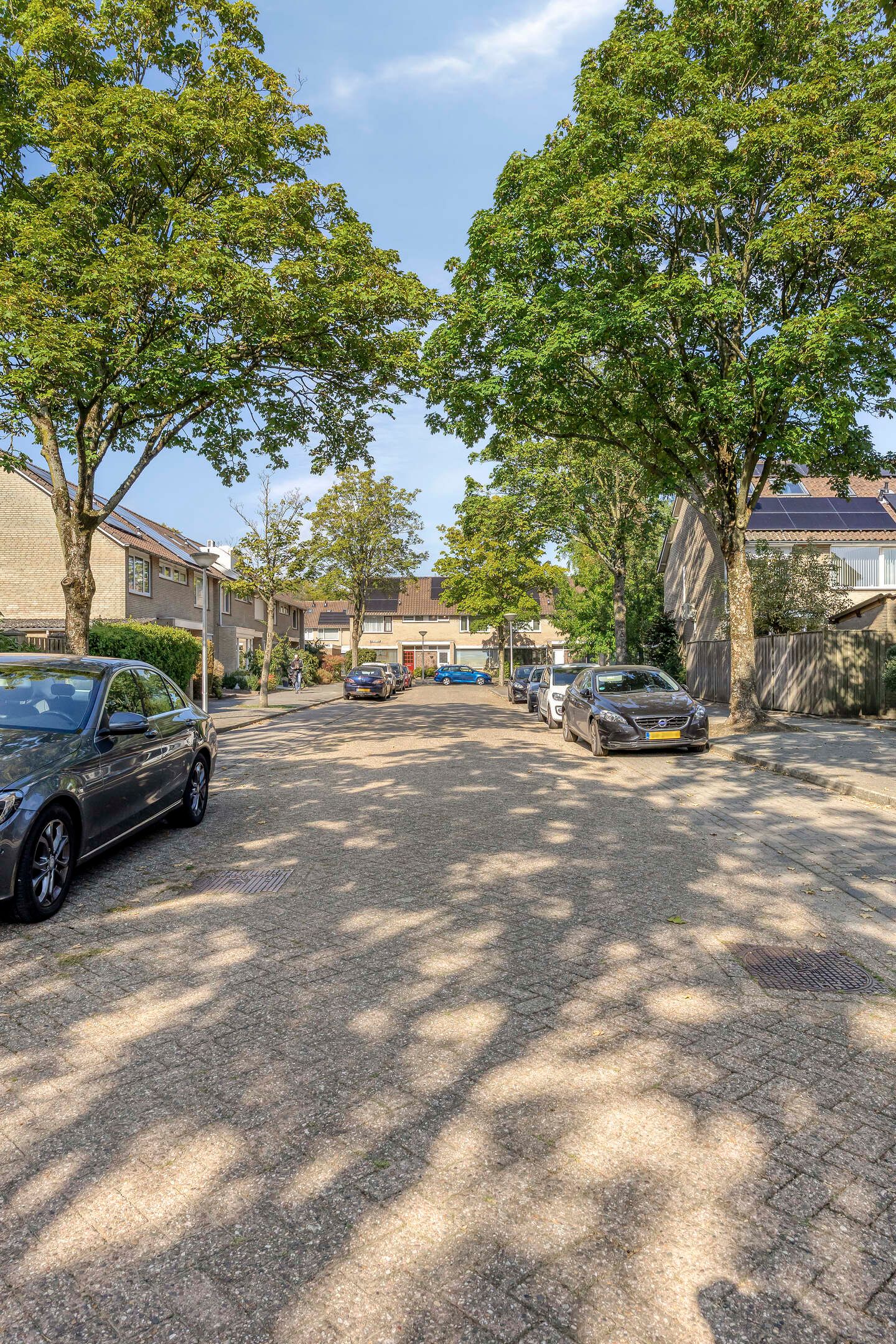 Foto 29 van Liesbergstraat 19