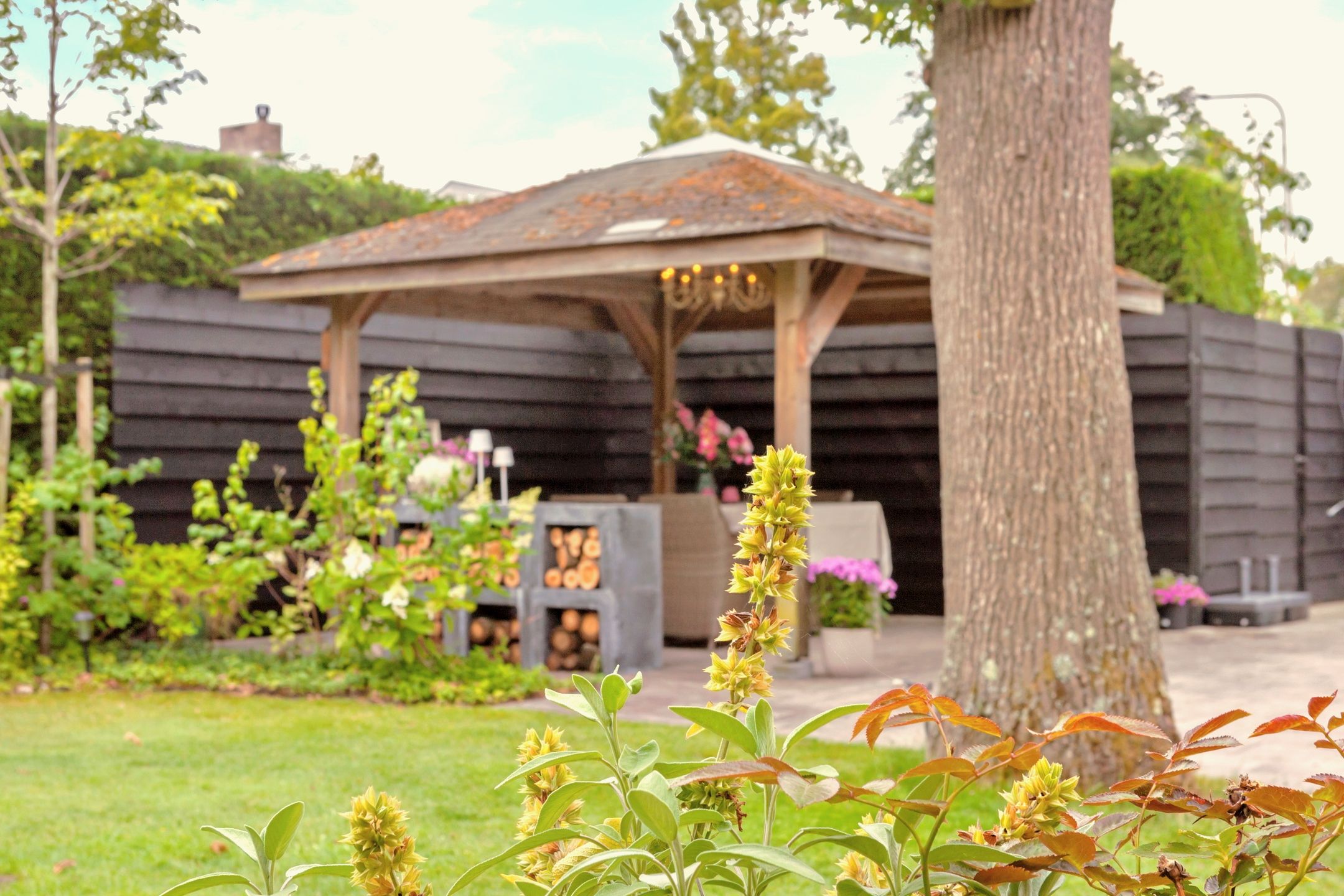 Foto 39 van Papelaan 49