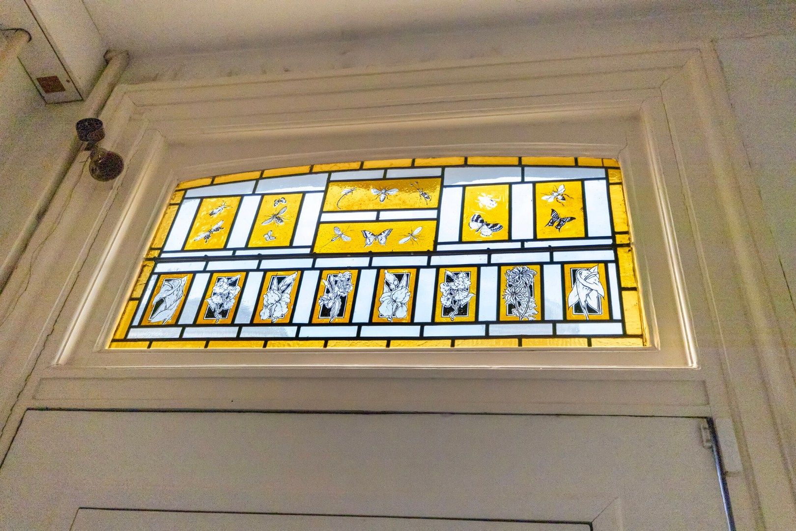 Foto 24 van Anna Paulownastraat 19