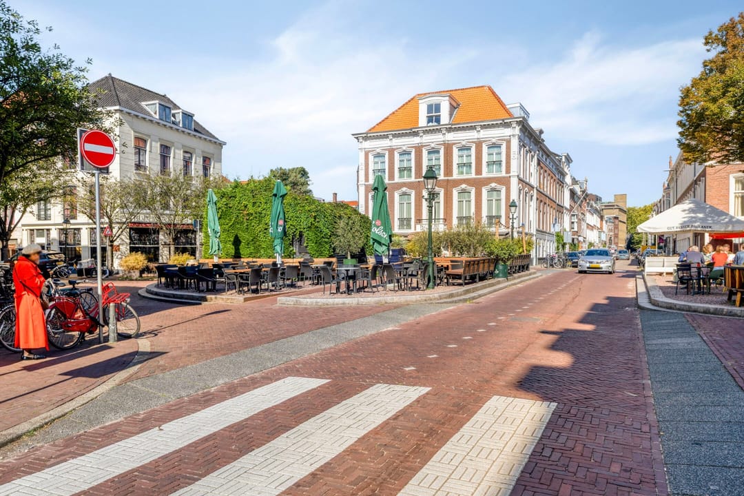 Foto 68 van Anna Paulownastraat 19