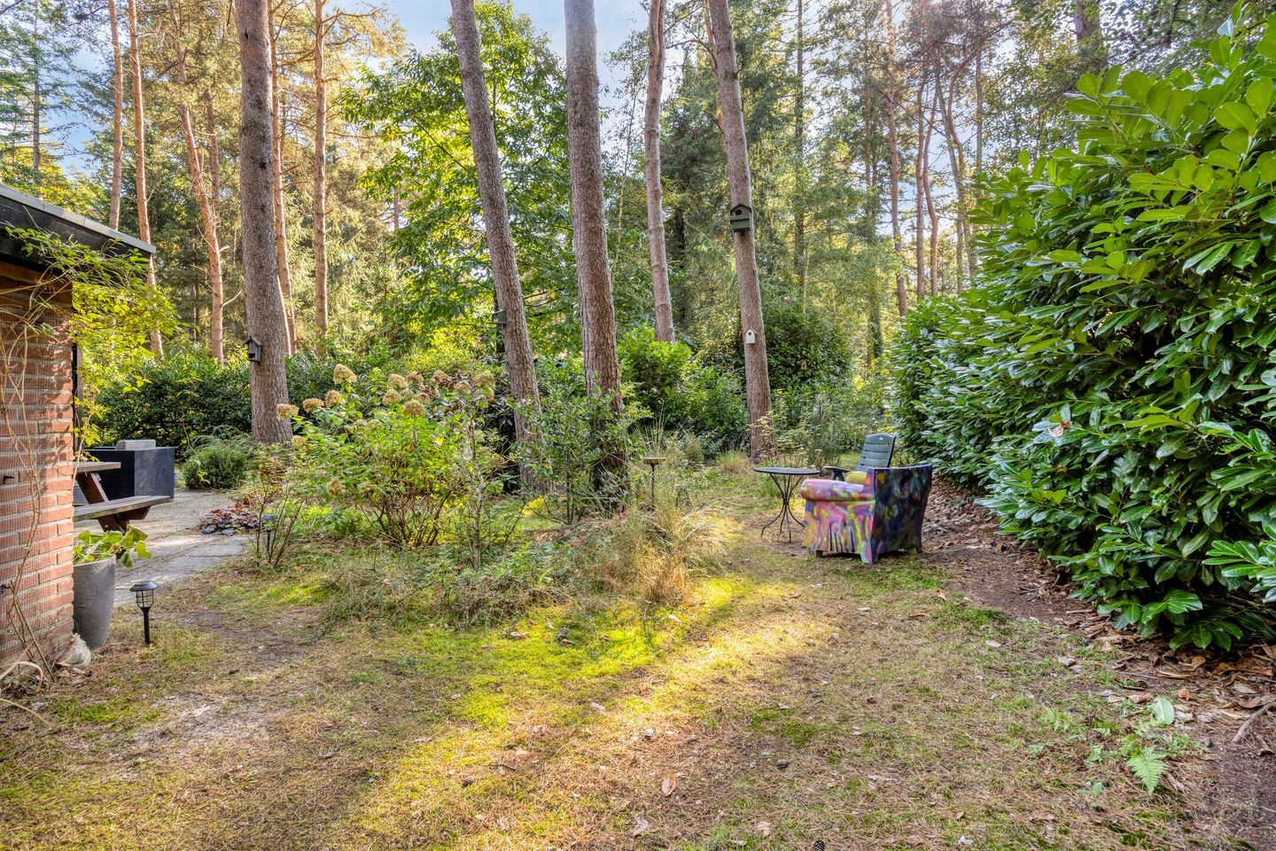 Foto 44 van Hogeveldsweg 26-225