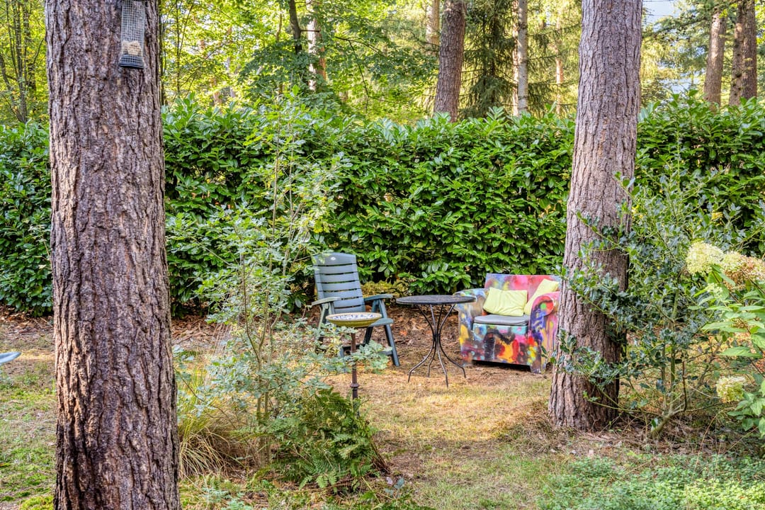 Foto 46 van Hogeveldsweg 26-225