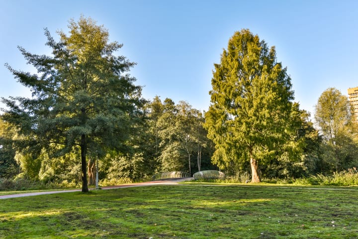 Foto 20 van Orteliuskade 56-1