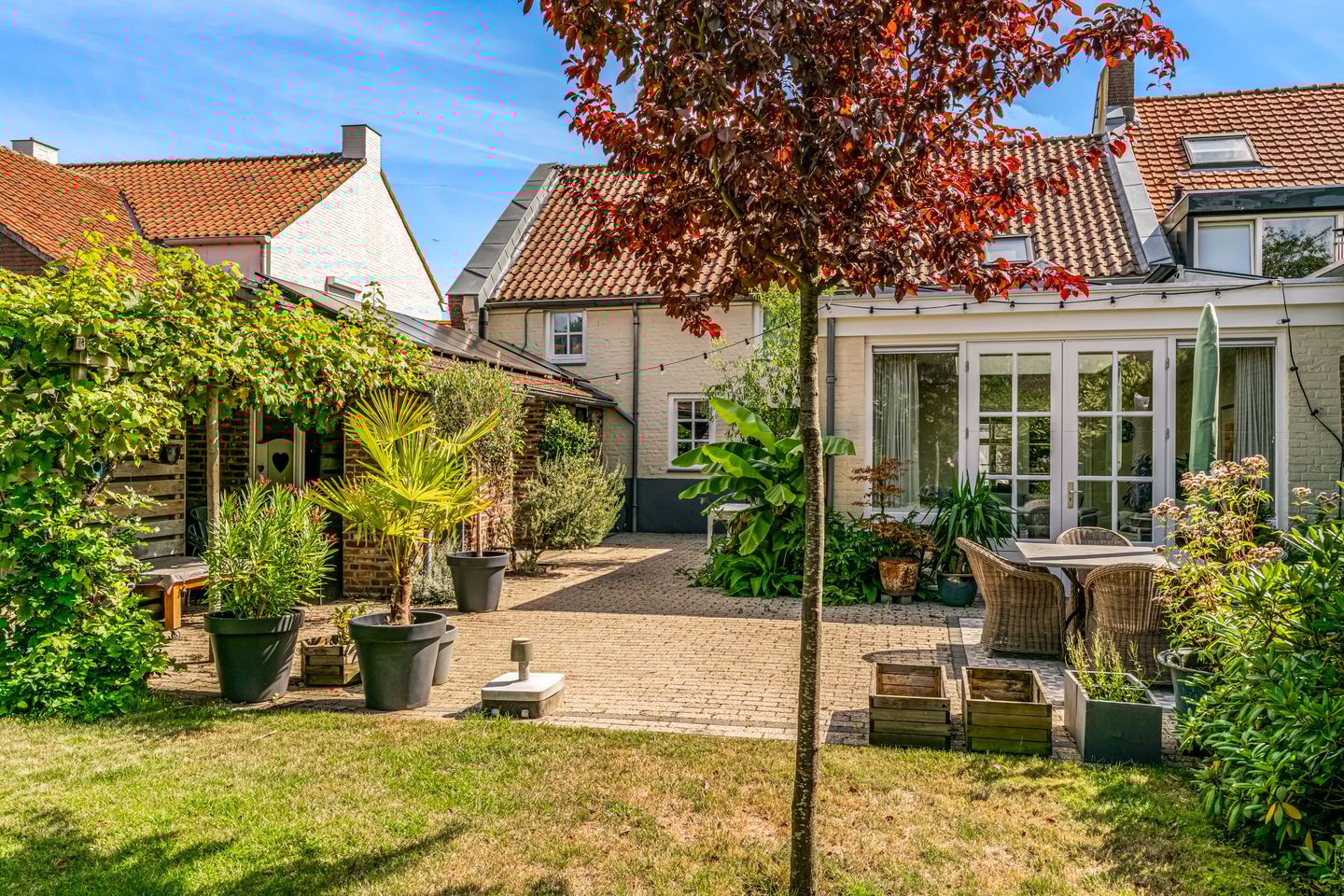 Foto 5 van Trippaardstraat 25