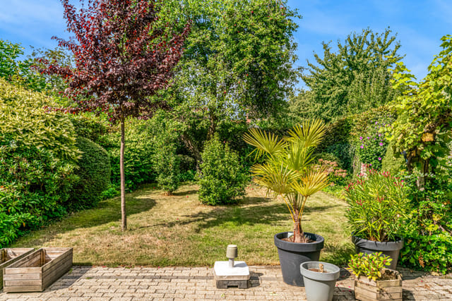 Foto 6 van Trippaardstraat 25