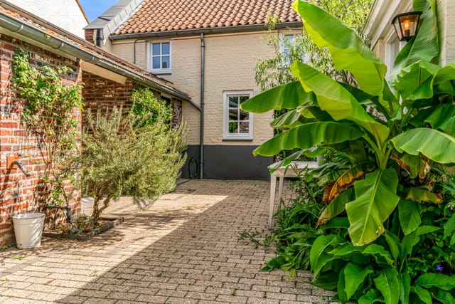 Foto 52 van Trippaardstraat 25