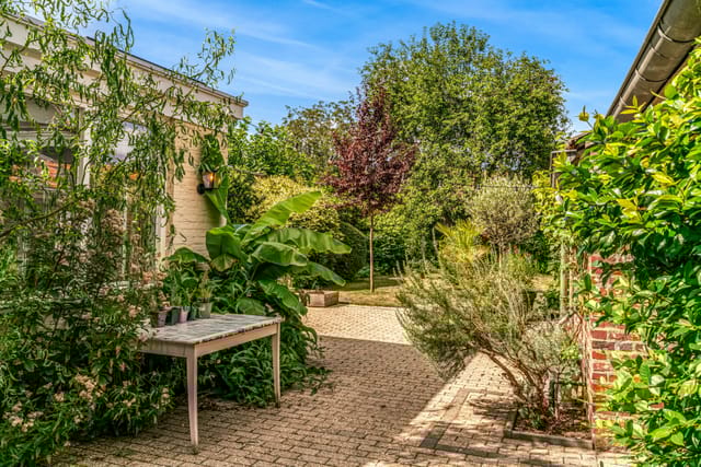 Foto 56 van Trippaardstraat 25