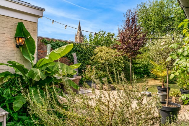 Foto 57 van Trippaardstraat 25