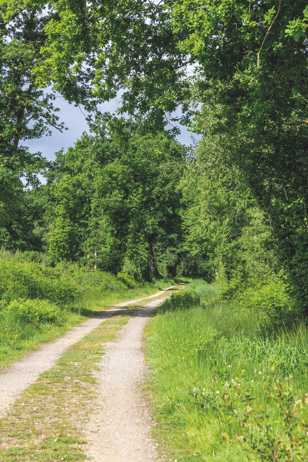 Foto 7 van Rijwoningen (Bouwnr. 17)