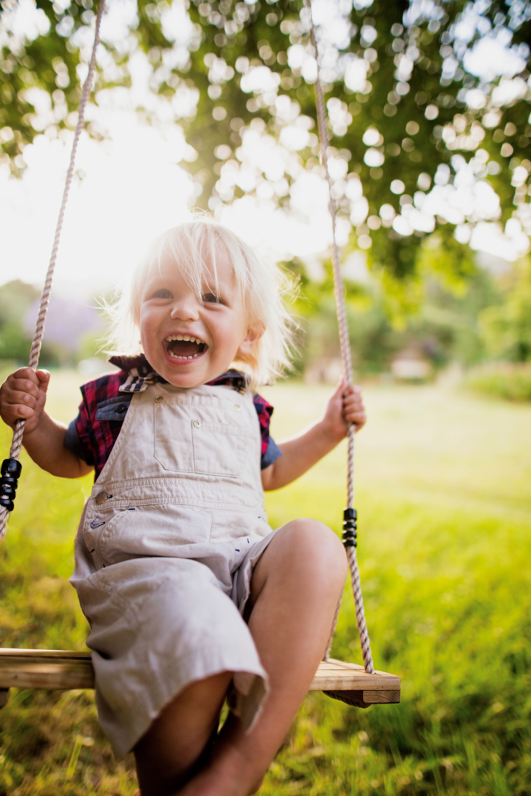 Foto 6 van Zoete Kers (Bouwnr. 24)