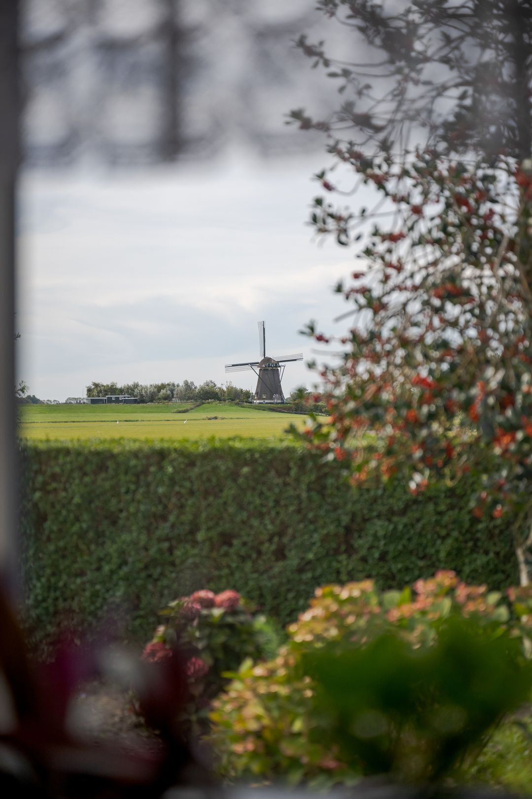 Foto 13 van Heiligegeestlaan 5