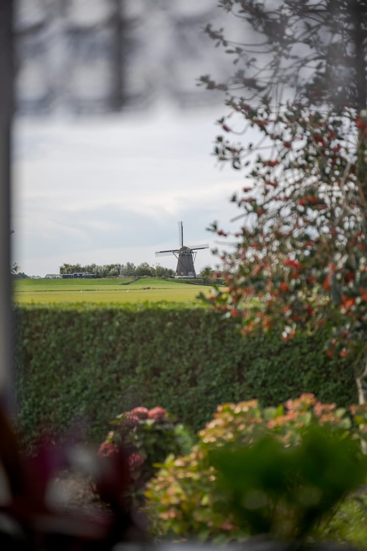 Foto 13 van Heiligegeestlaan 5