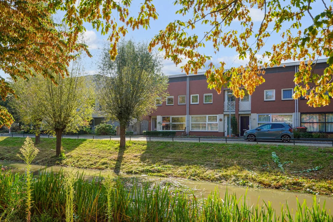 Foto 41 van Schout van der Dussensingel 23