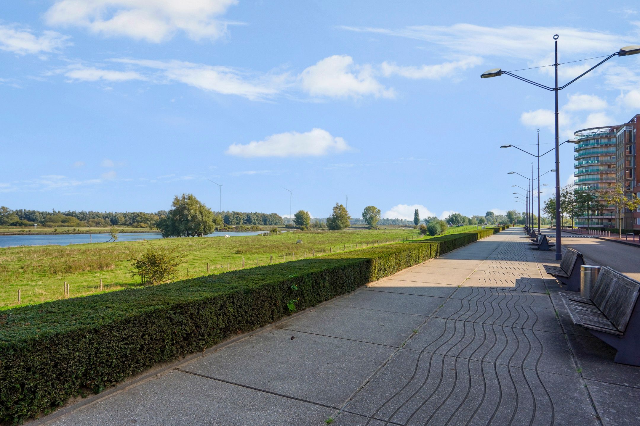 Foto 42 van Schout van der Dussensingel 23