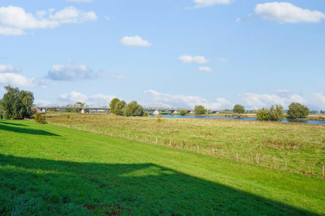 Foto 43 van Schout van der Dussensingel 23