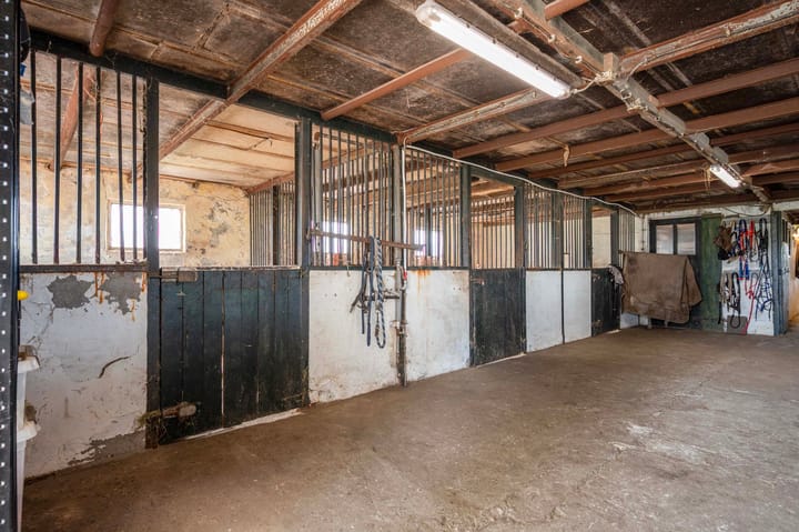 Photo 48 of Scherpenberg 51