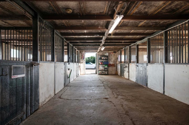 Photo 49 of Scherpenberg 51