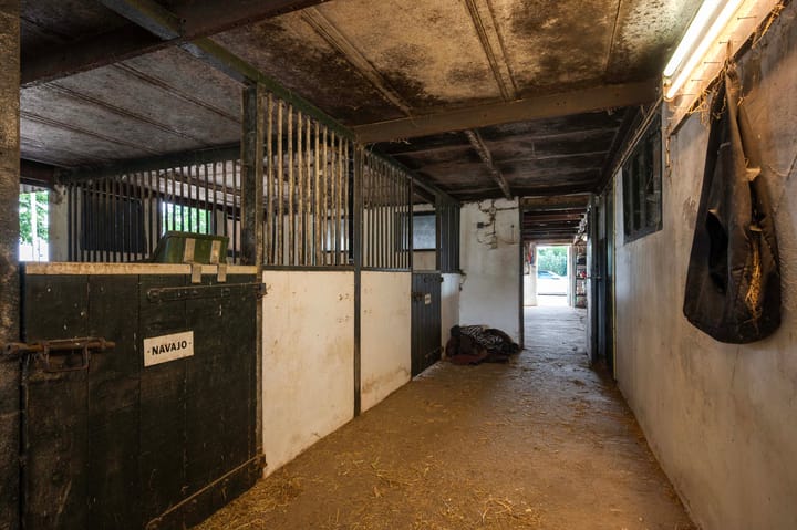 Photo 50 of Scherpenberg 51