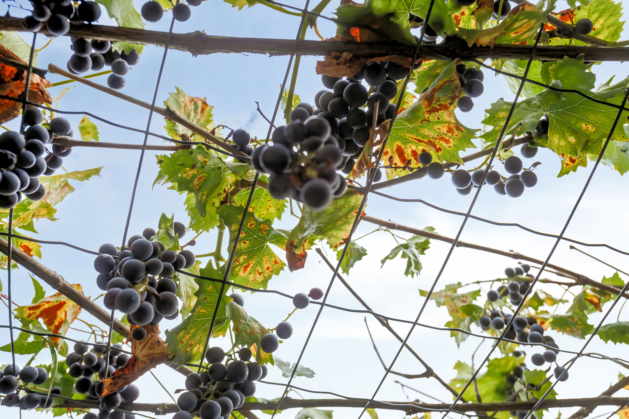 Foto 48 van Kasennerweg 11