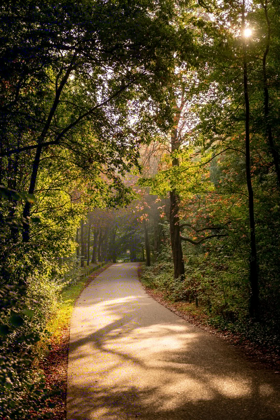 Foto 58 van Het Engelse Werk 1