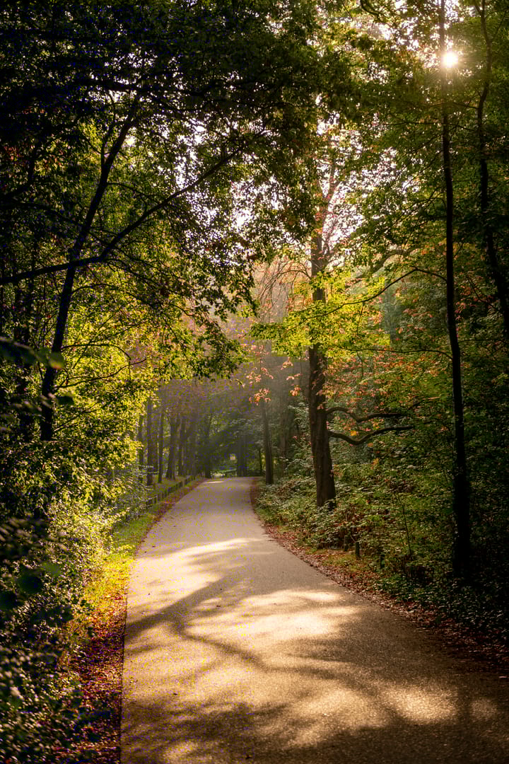 Photo 58 of Het Engelse Werk 1