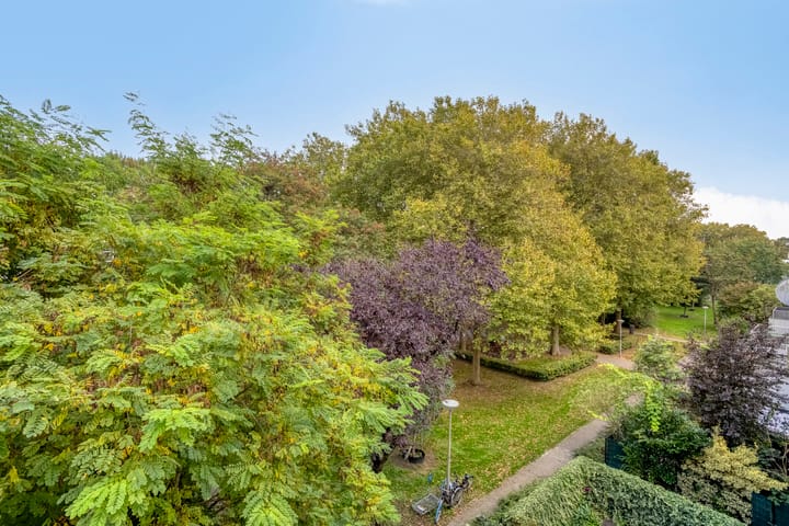 Photo 23 of Daniël Defoelaan 9