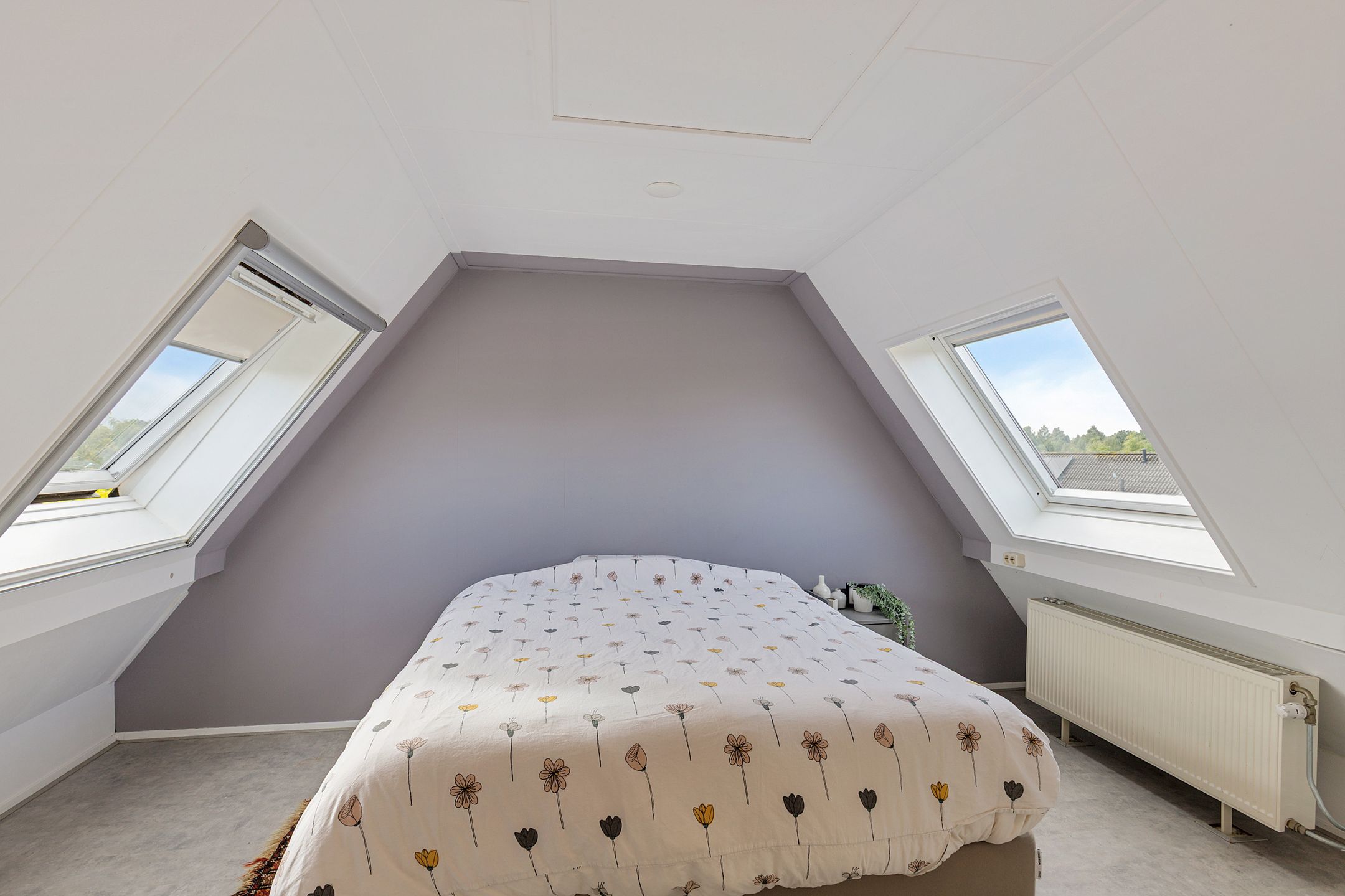 Photo 30 of Roefke 5