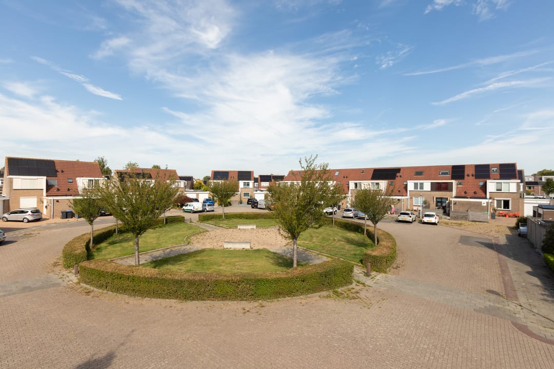 Foto 2 van Wilgeroosje 58