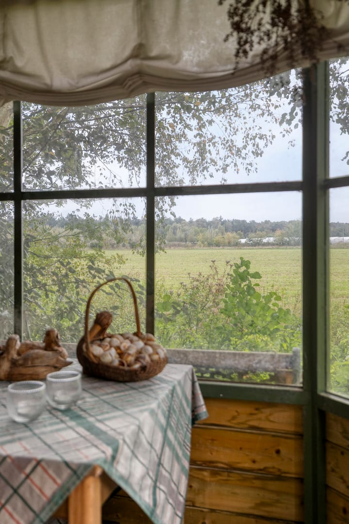 Foto 51 van Hesseling 40