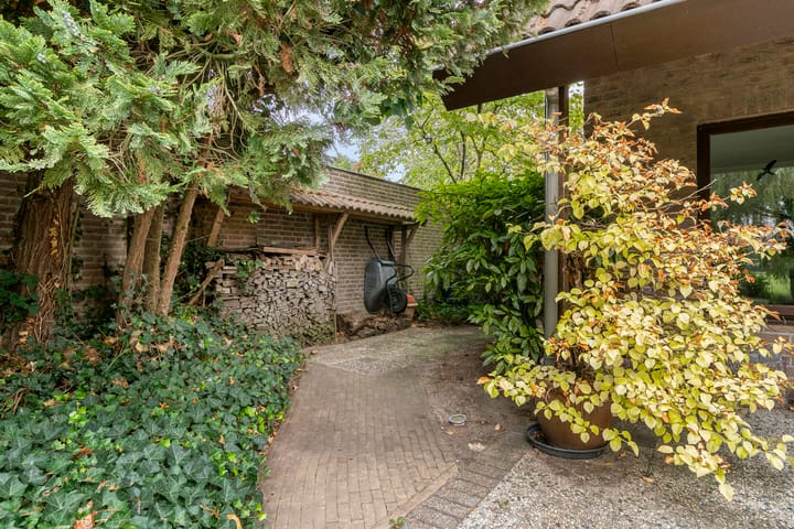 Foto 53 van Hesseling 40