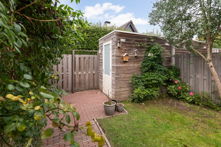 Foto 17 van Plinius 9