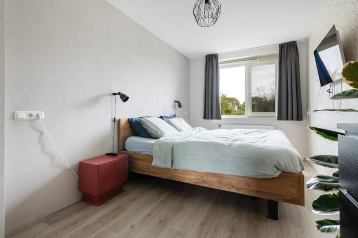 Foto 21 van Plinius 9