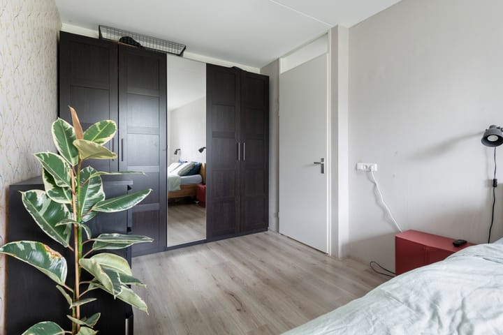 Foto 22 van Plinius 9