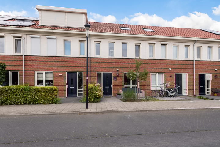 Foto 39 van Plinius 9