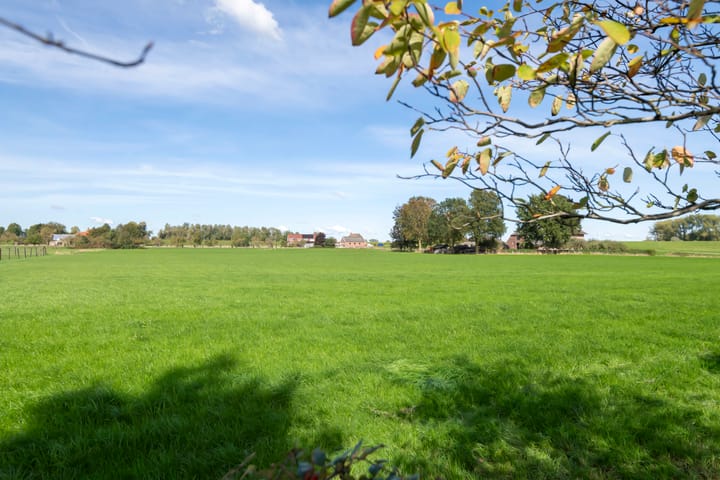 Foto 4 van Overwijker Maat 5