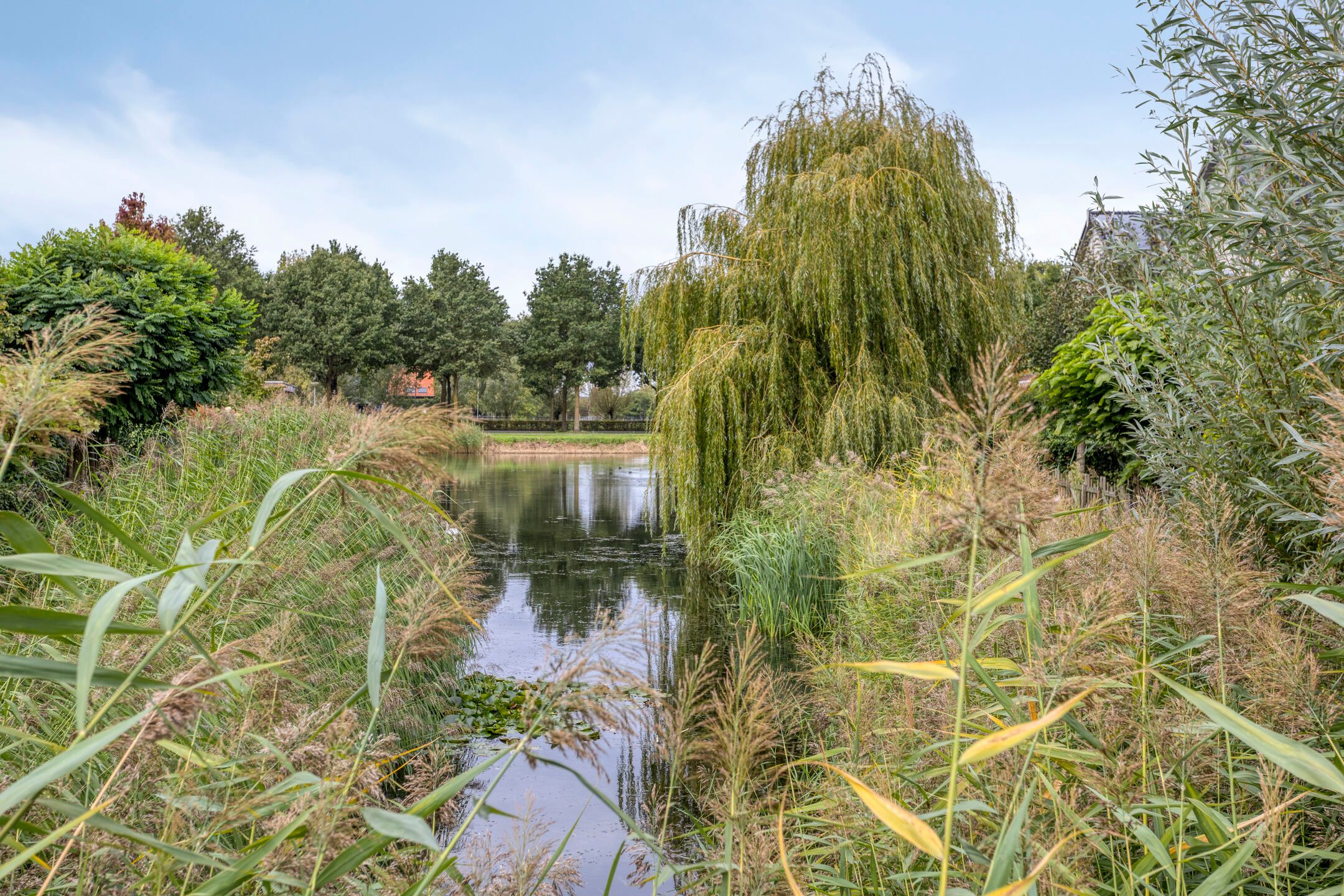 Foto 57 van Kerklaan 6