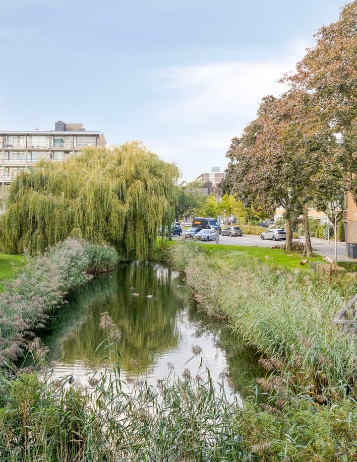 Foto 27 van Julianaplantsoen 167