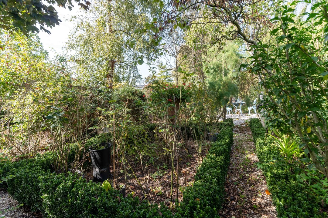 Foto 41 van Westgaag 34