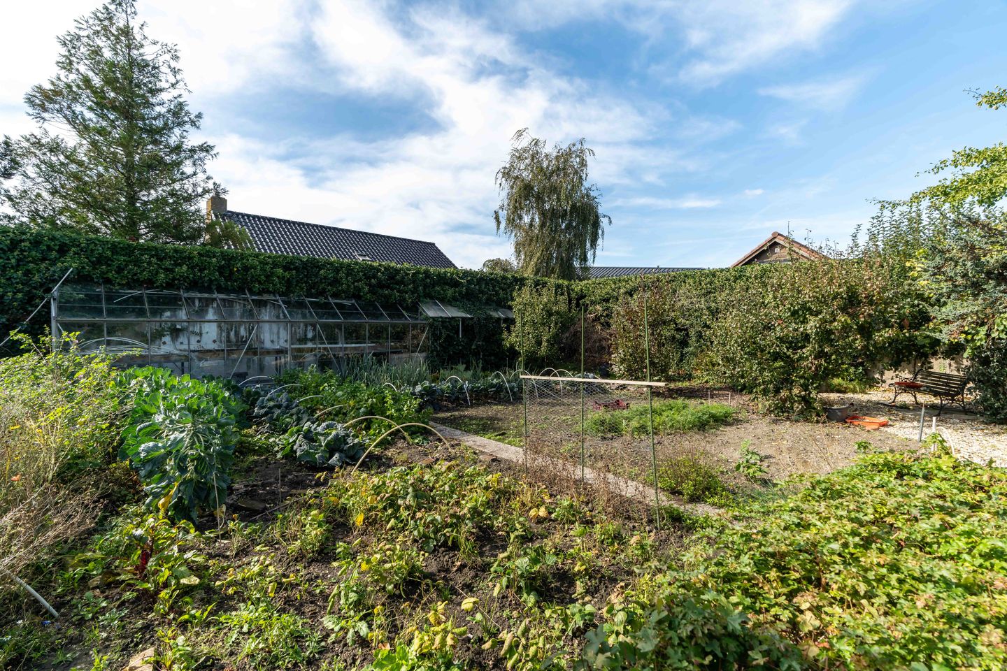 Foto 50 van Westgaag 34