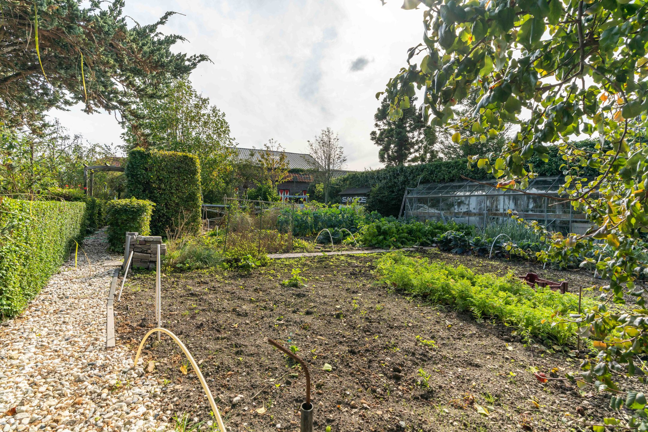 Foto 51 van Westgaag 34