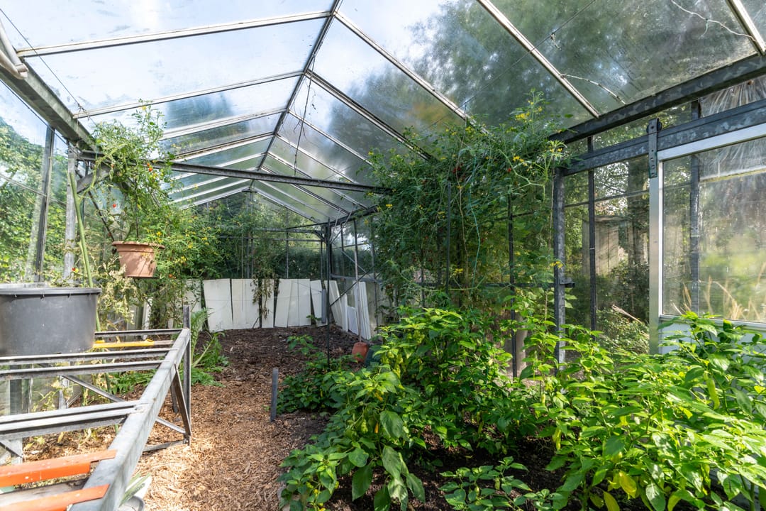 Foto 52 van Westgaag 34