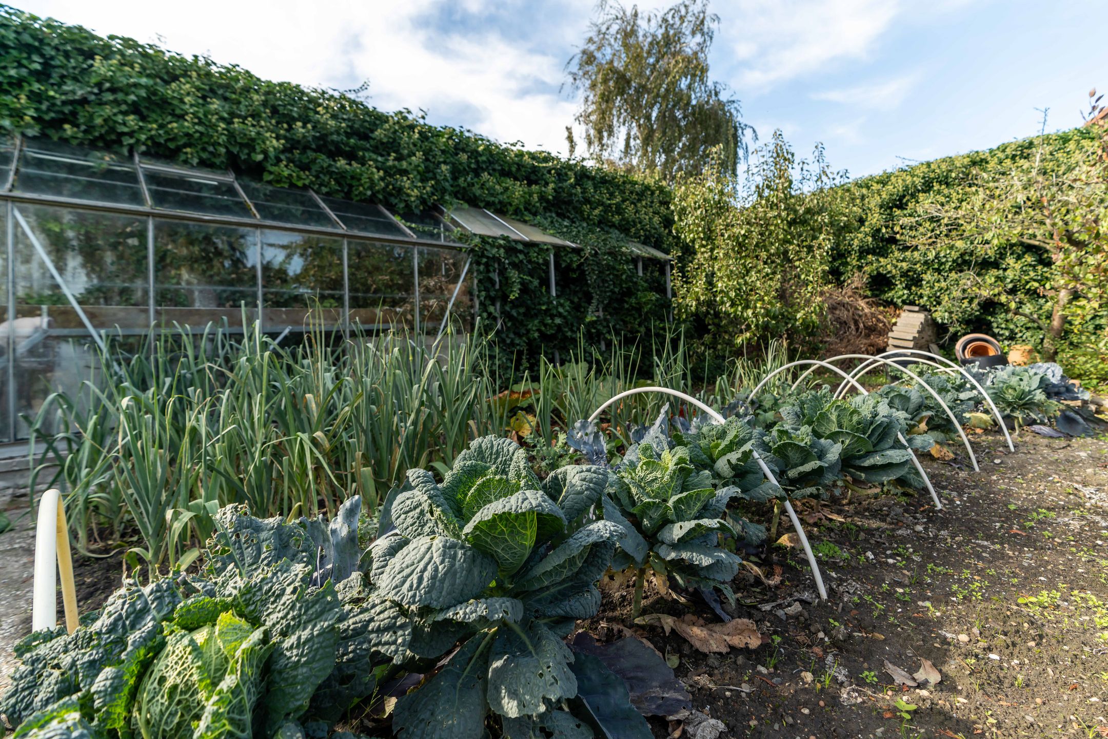 Foto 54 van Westgaag 34