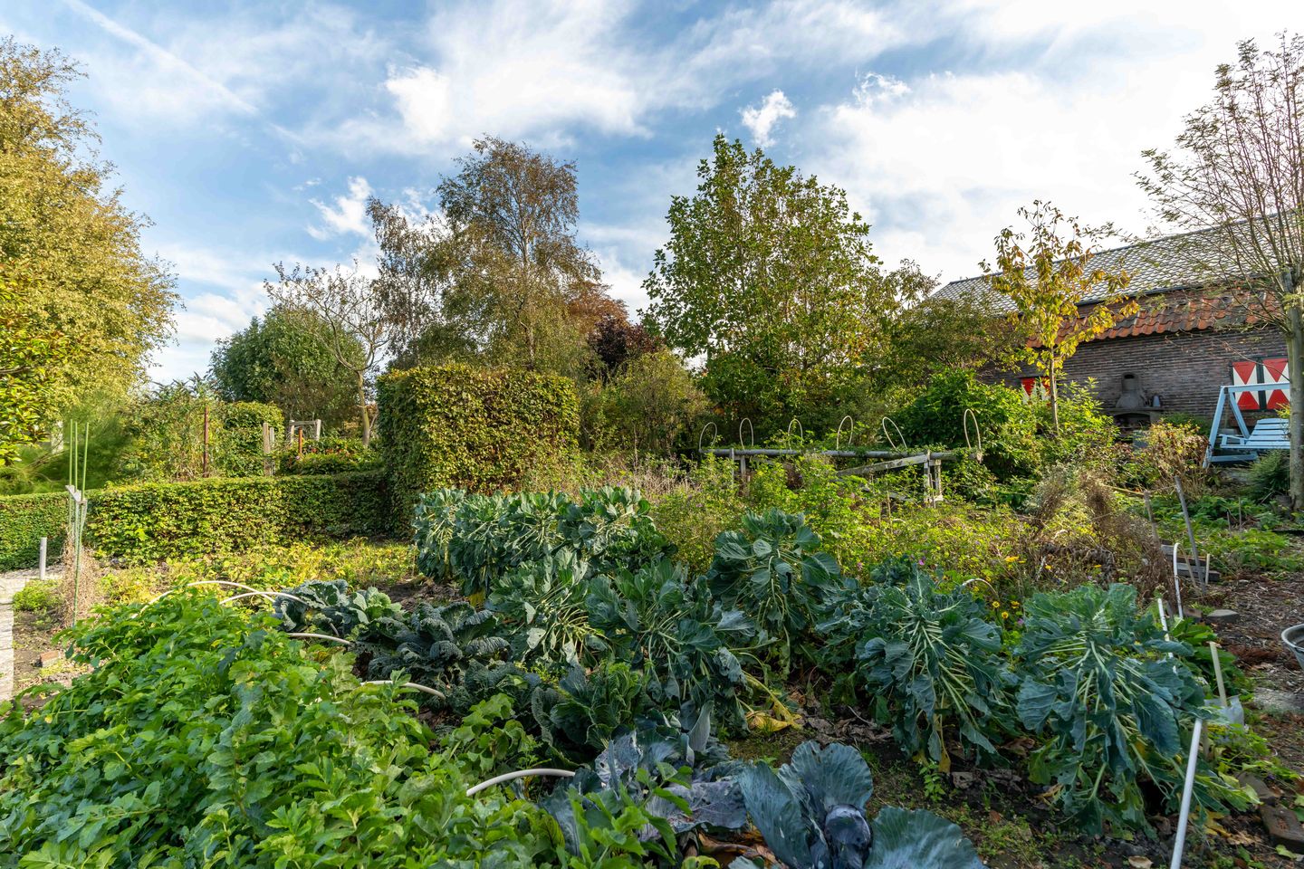 Foto 55 van Westgaag 34