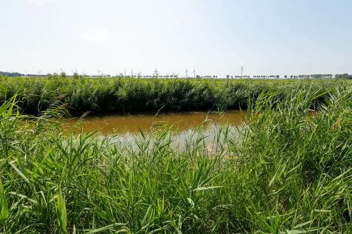 Photo 57 of Fregat 3