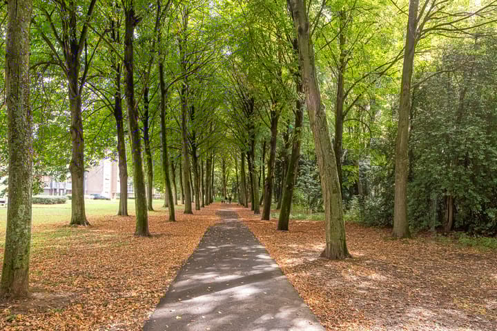 Foto 14 van Forcadentstraat 76-C