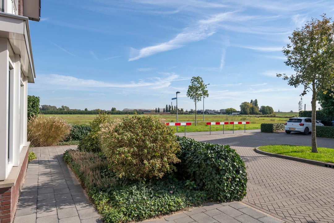 Foto 7 van Groot Koolwitje 9