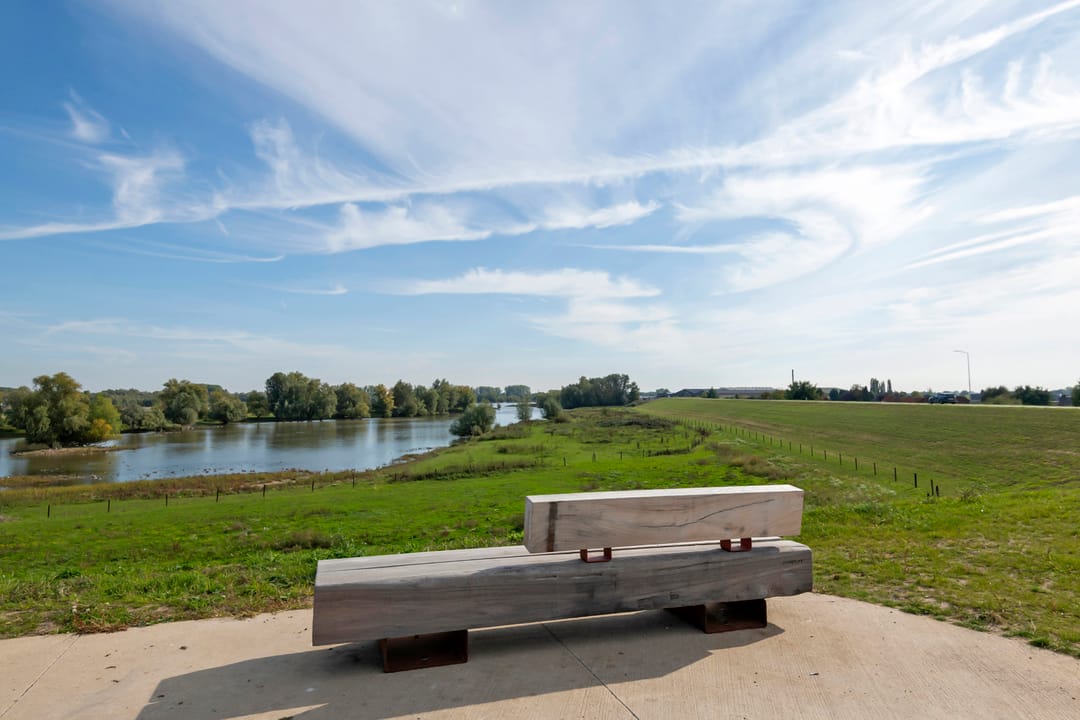 Foto 8 van Groot Koolwitje 9